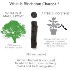 Black + Blum Binchotan Active Charcoal For Eau Good Water Bottles 4-pack -Keuken Benodigdheden Winkel 1200x1200 846