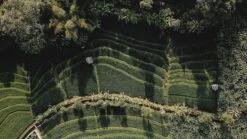 Sola Bestekset Bali - Modern - 9 Persoons - 90 Delig - Zilverwit Edelstaal 18/10 - RVS - Zilver 8 Sola Bestekset Bali - Modern - 9 Persoons - 90 Delig - Zilverwit Edelstaal 18/10 - RVS - Zilver -Keuken Benodigdheden Winkel 1200x675 8