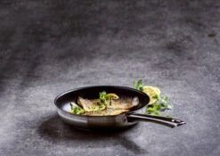 BK Allround Koekenpan Ø 24 Cm - Inductie - PFAS-vrij -Keuken Benodigdheden Winkel 1200x851